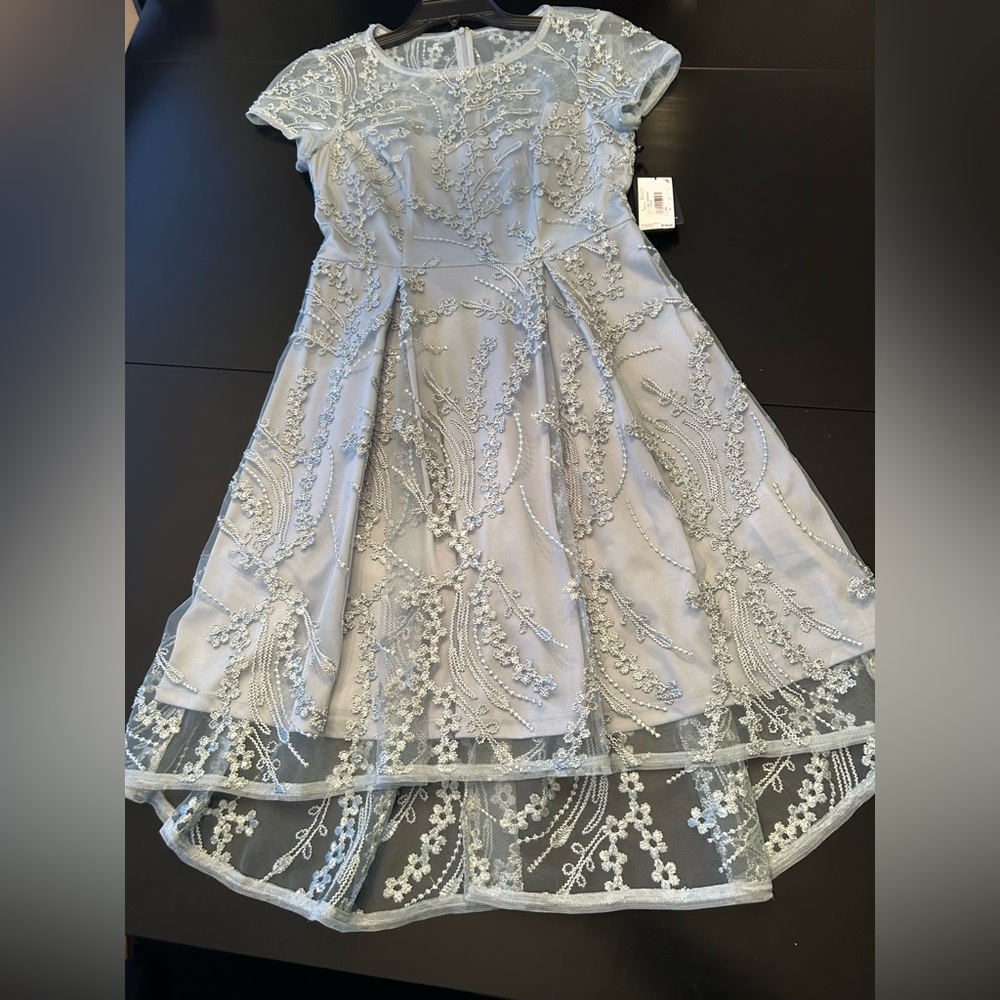 Adrianna Papell Women's Sequin Embroidery Dress size 4 Feminine